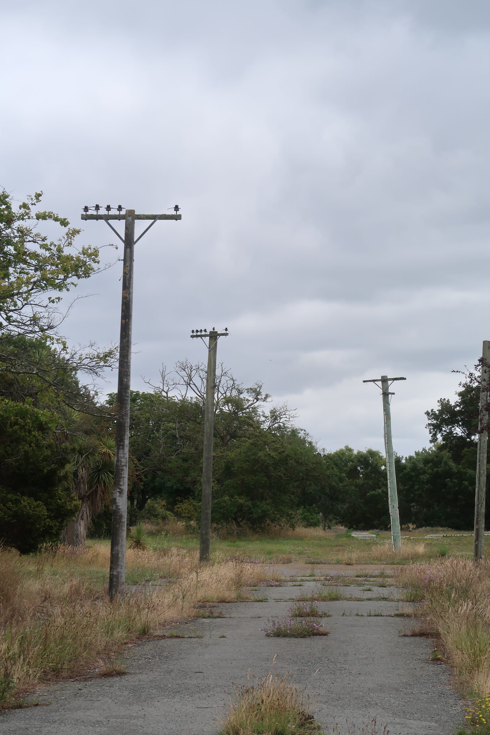 Abandoned Poles