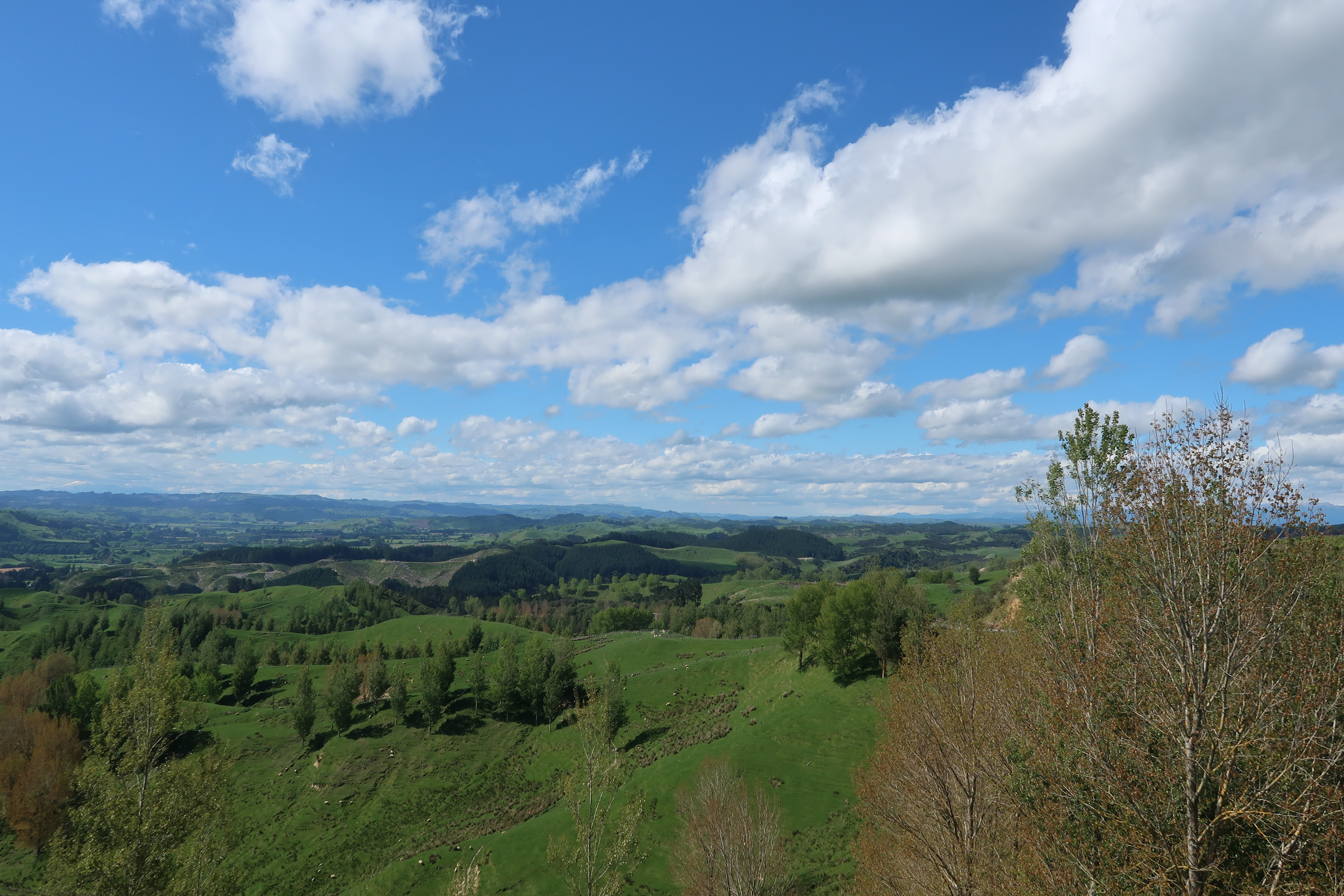 Stormy Point Lookout