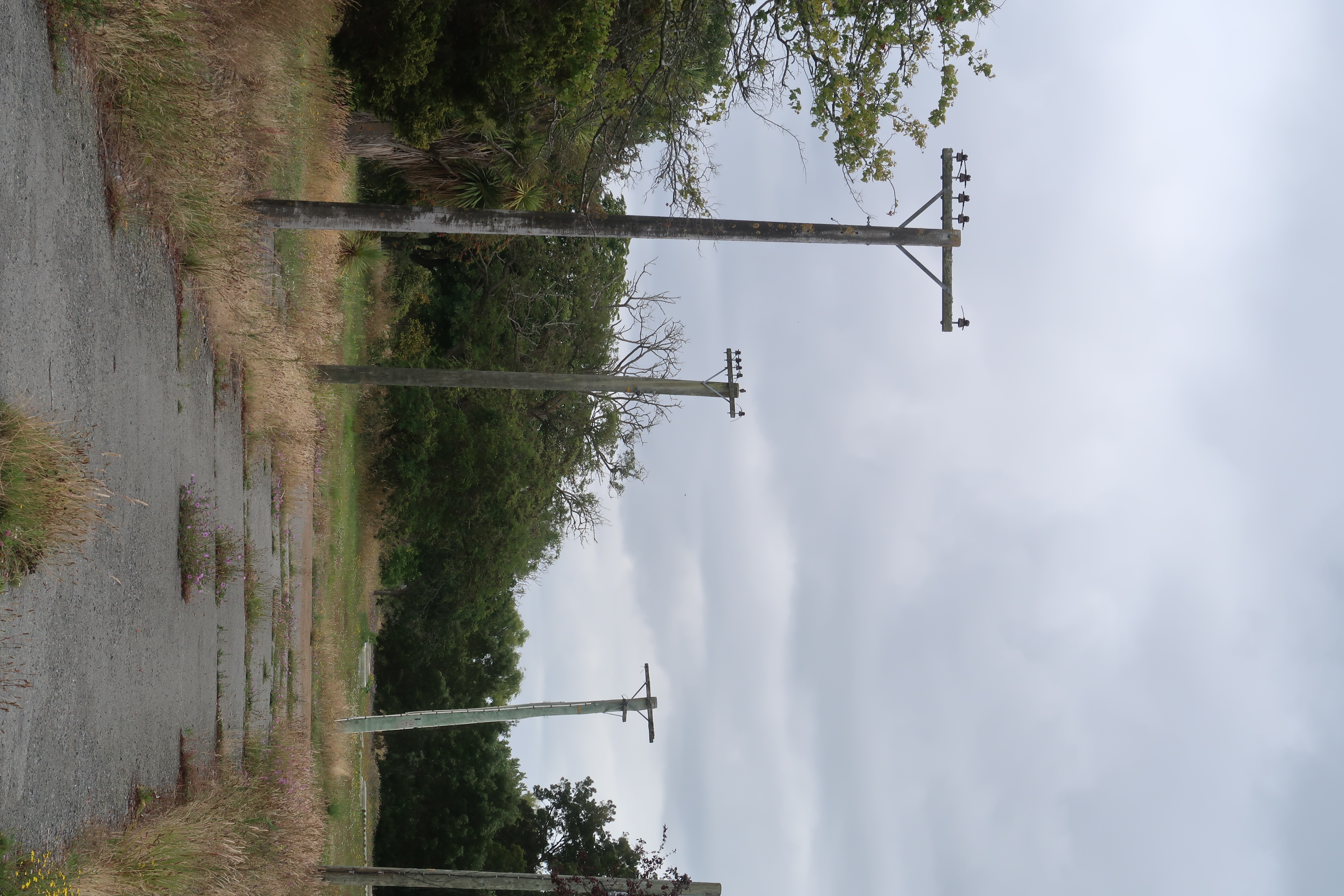 Abandoned Poles