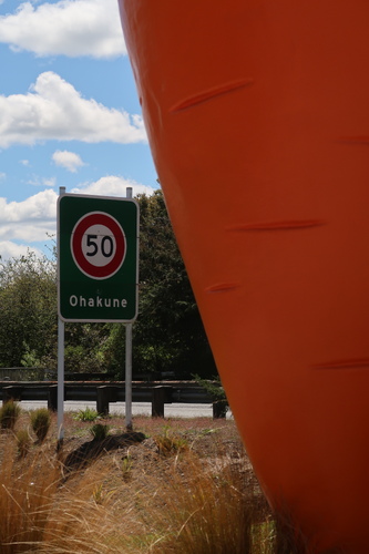 Ohakune carrot